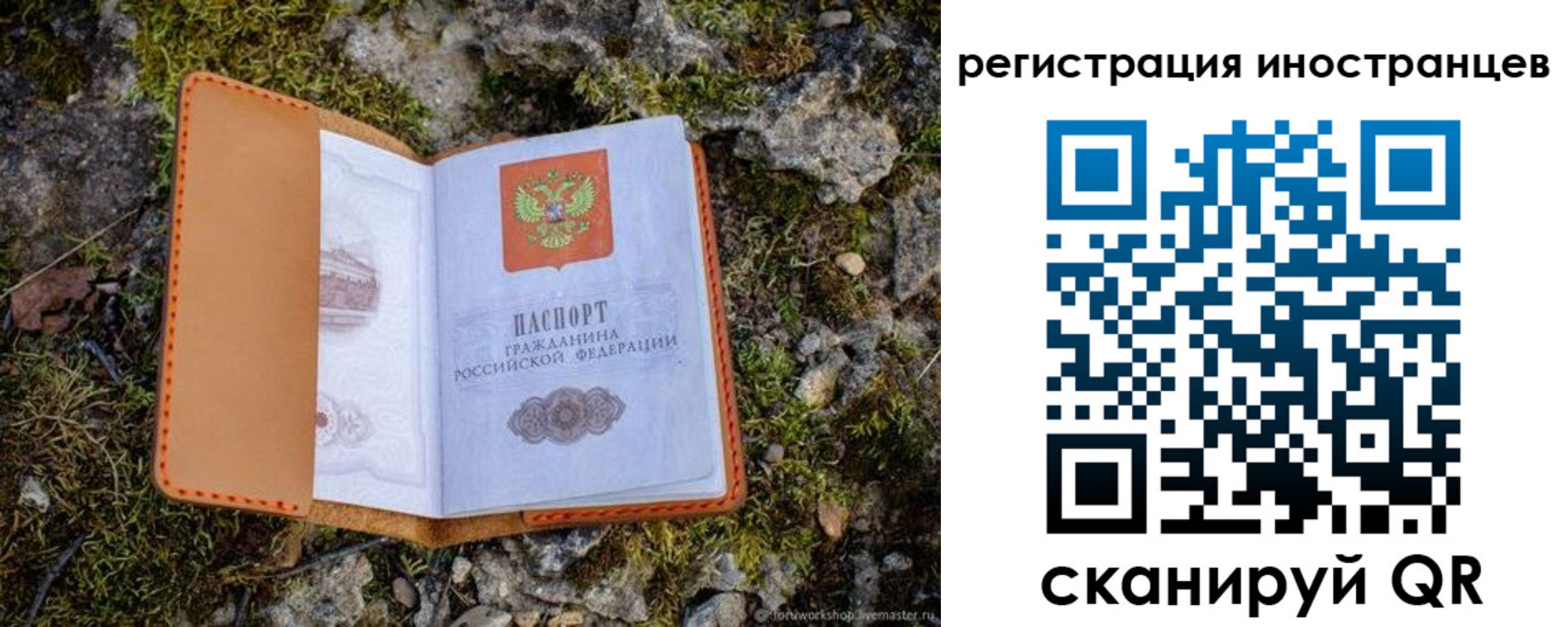 прописка паспорт в Пензенской области